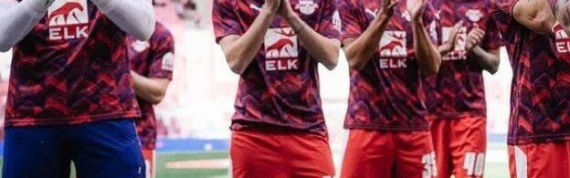 2025-26赛季德甲18队介绍：莱比锡