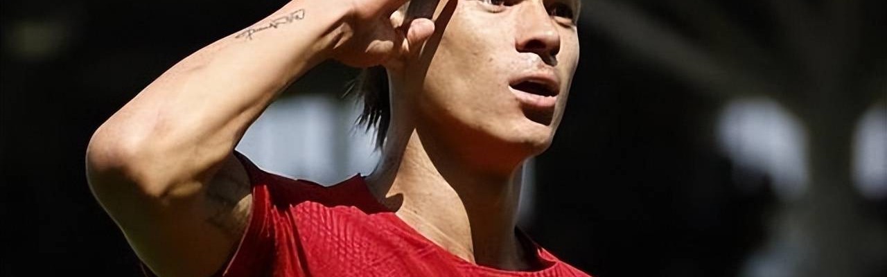 齐格勒建议努涅斯考虑德甲，阿隆索要制定更新换代的策略